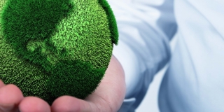 gree, globe, certification, сертификация, зелен, глобус